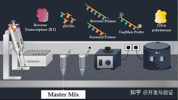 实时体验欧冠杯的激动人心的比赛