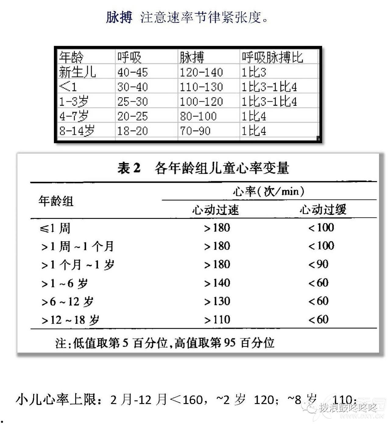 抓饭体育带你直击赛场前线